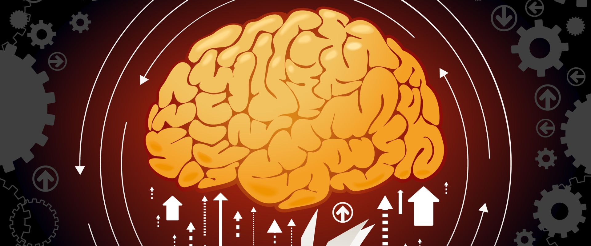 Understanding Firm Behavior in Economics